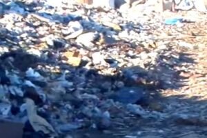 Вывоз строительного мусора самосвалом в Запорожье